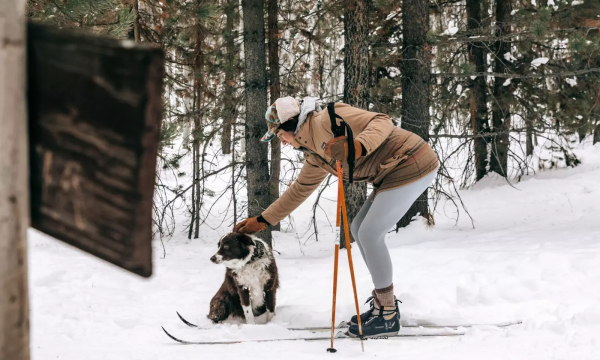Зимой можно не ходить в спортзал. Вот 10 альтернатив